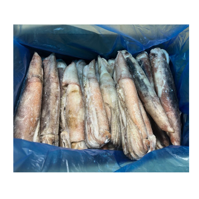 SANKO RIKUREI SURUME IKA SQUID IQF 21-25 WILD JAPAN 17.63 #