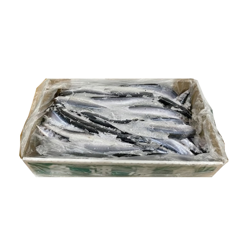 MIYAGASAKI SANMA 65P FROZEN WILD JAPAN 22.04 #