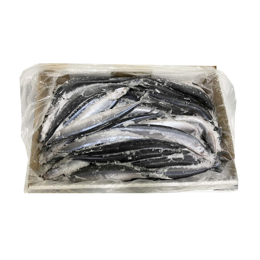 MIYAGASAKI SANMA 55P FROZEN WILD JAPAN 22.04 #
