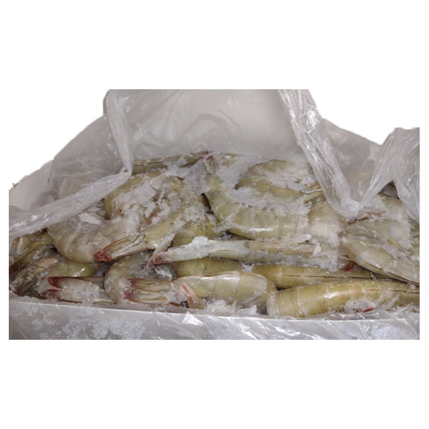 OCEANKIST SHRIMP HEADLESS SHELL ON 21-25 FARM ECUADOR 10/4.4 #