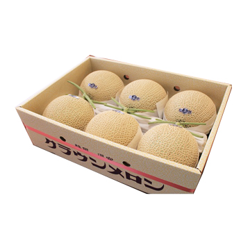 SHIZUOKA CROWN MELON                6 PC