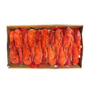 UNIPECHE MDM COOKED LOBSTER 14-16 CAN10#