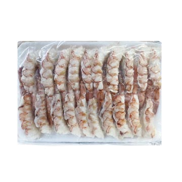 KYOKUYO HIRAKI ARGENTINE RED SHRIMP SJ 20/20 P