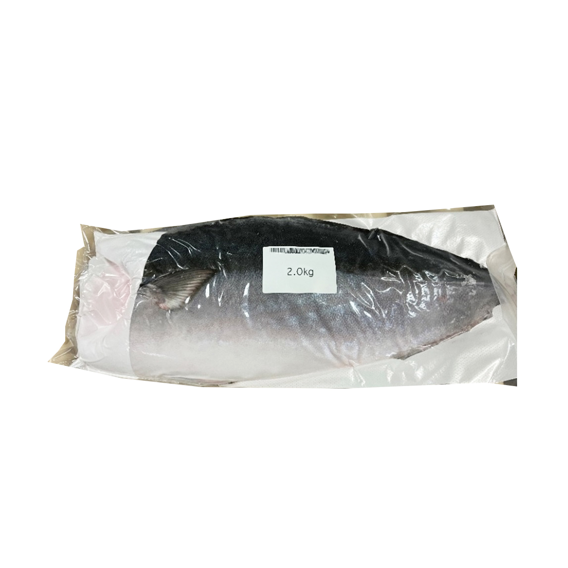 GTK BURI AMBERJACK FILLET 2KG FARM JAPAN 1.00 #