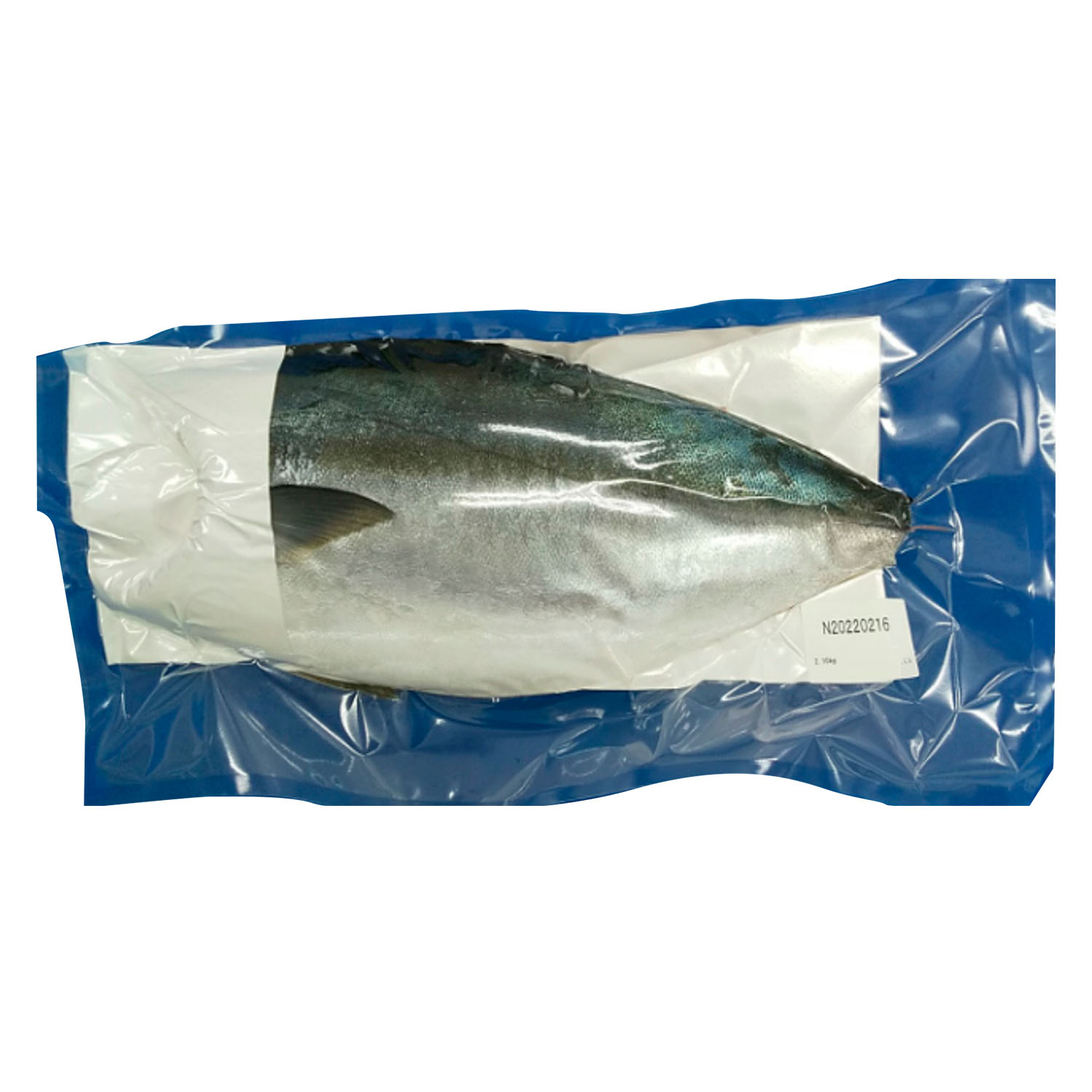 KYOKUYO BURI FILLET 2.0-2.29 KG 6P FARM JAPAN 1#