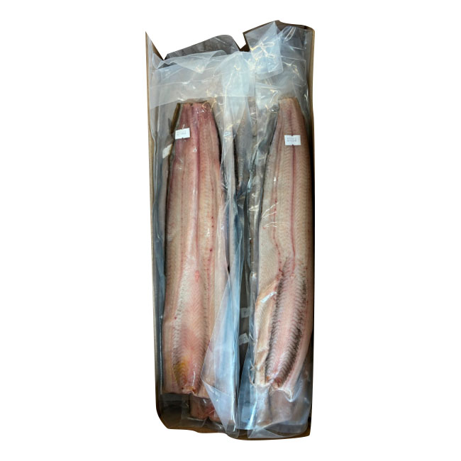 AMERICAN UNAGI RAW UNAGI FILLET ROSTRATA 7-10 OZ FARM USA 10.00 #